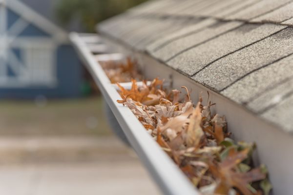 Leaf Barrier Installation in Frisco